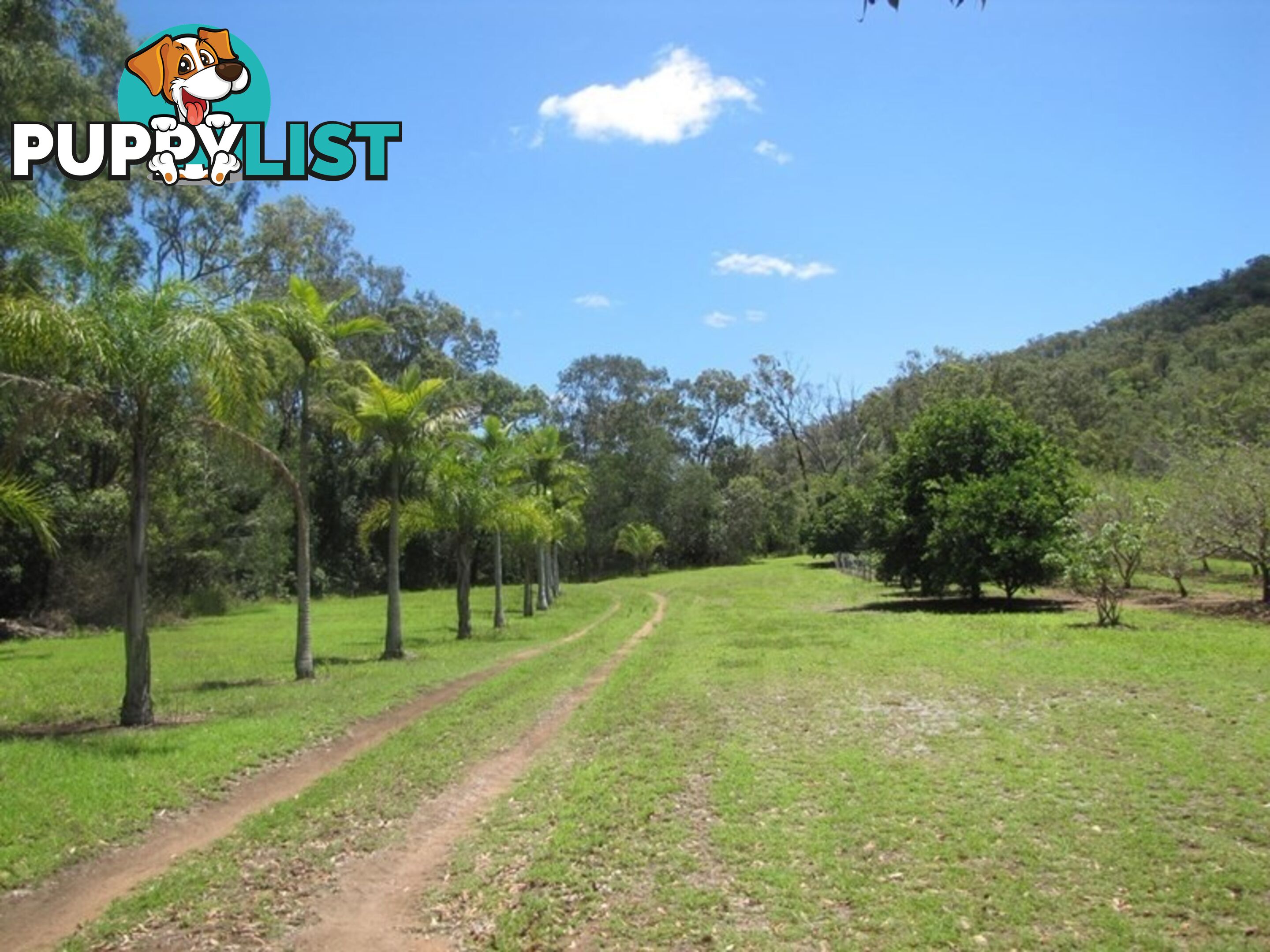 420 Spring Valley Road WEST STOWE QLD 4680