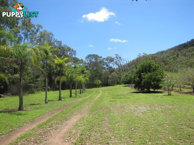 420 Spring Valley Road WEST STOWE QLD 4680