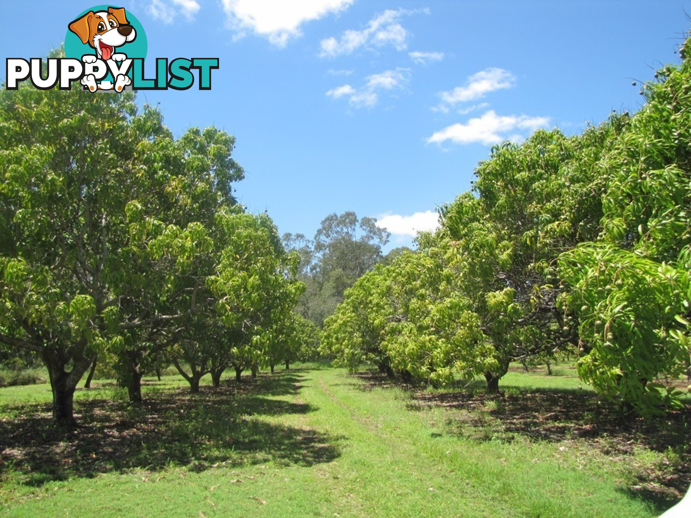 420 Spring Valley Road WEST STOWE QLD 4680