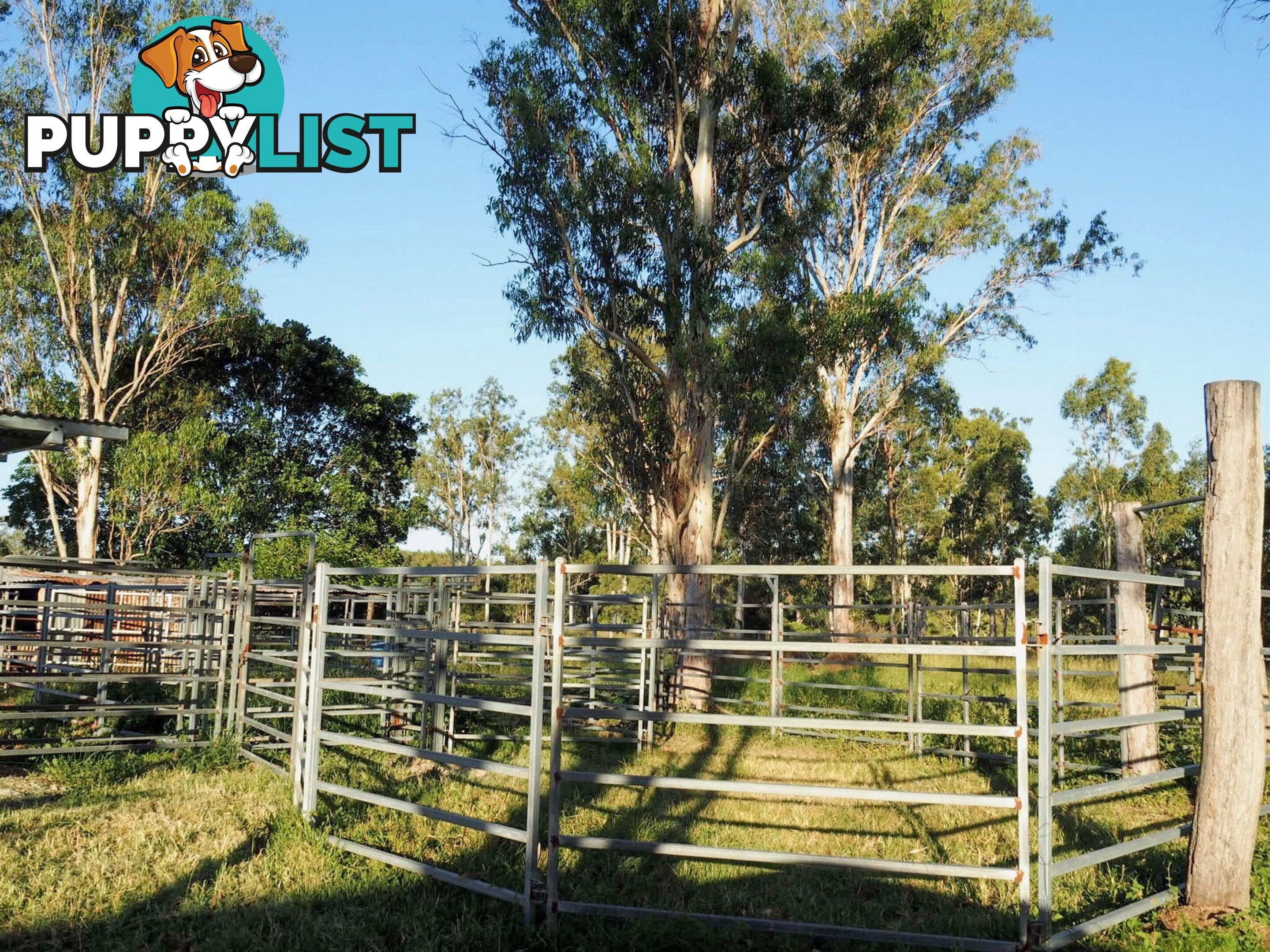 632 Ambrose Bracewell Road AMBROSE QLD 4695