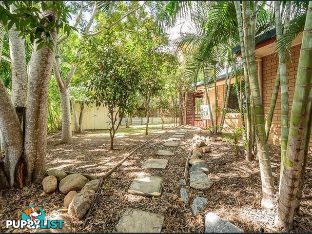 5 Kenneth Court NEW AUCKLAND QLD 4680