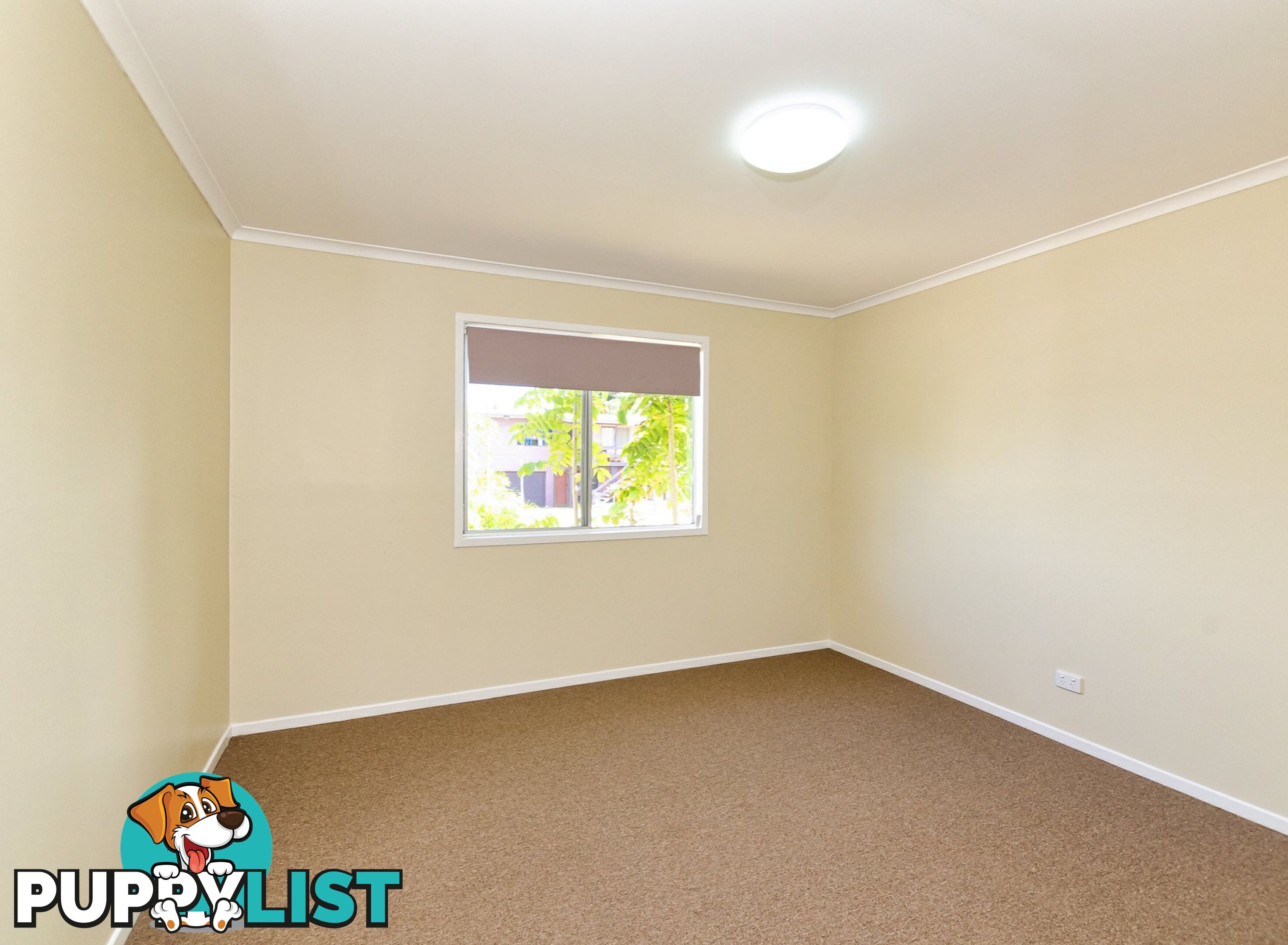 15 Marshall Avenue SUN VALLEY QLD 4680