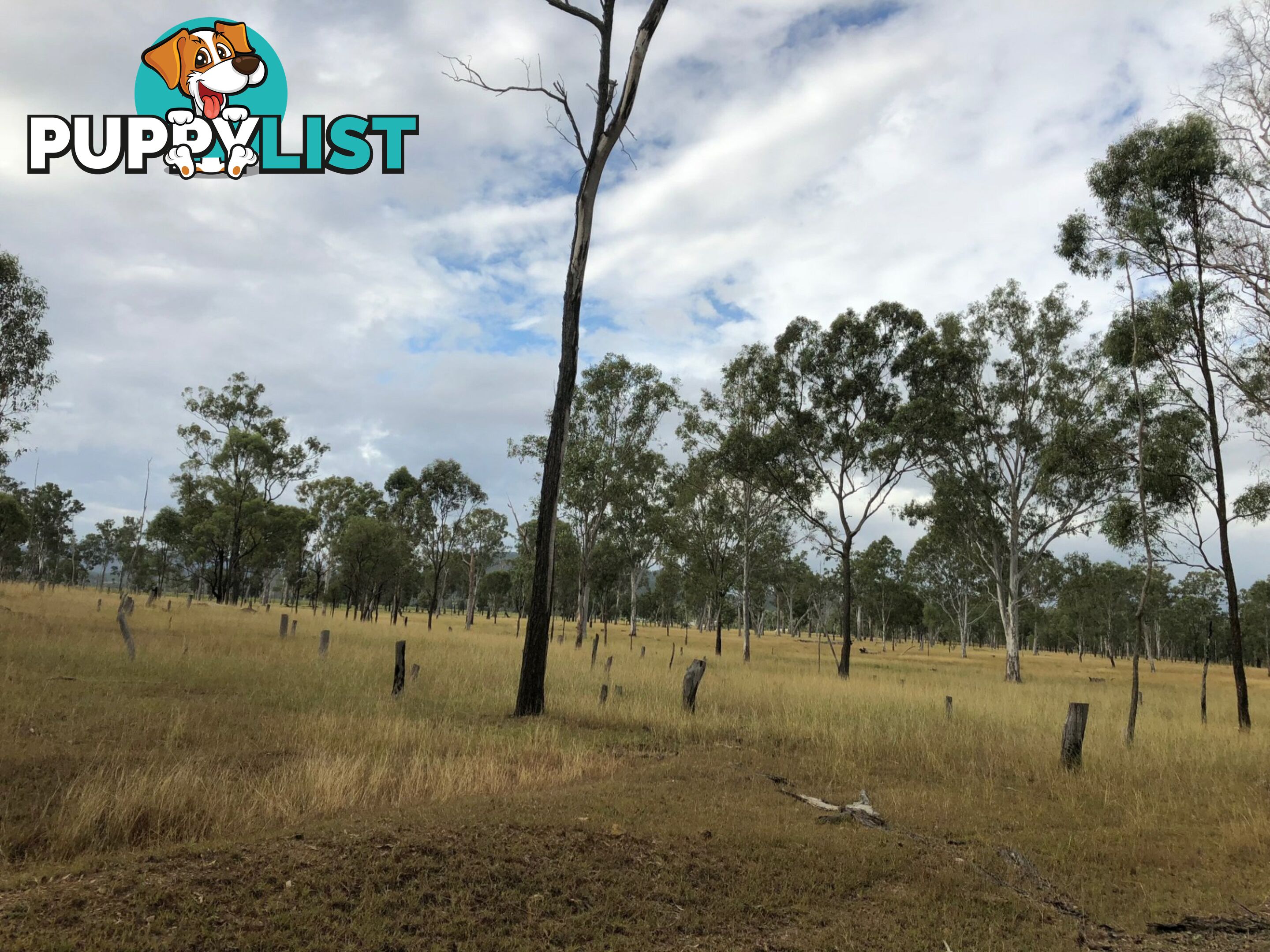 0 Marble Creek Road BOYNE VALLEY QLD 4680