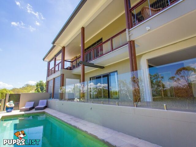 25 West Ridge Crescent WEST GLADSTONE QLD 4680