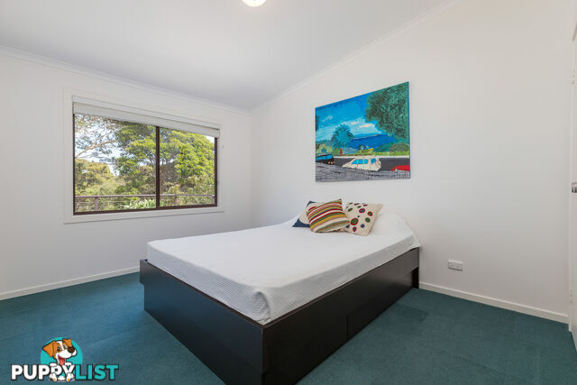 5 Ross Street NAROOMA NSW 2546