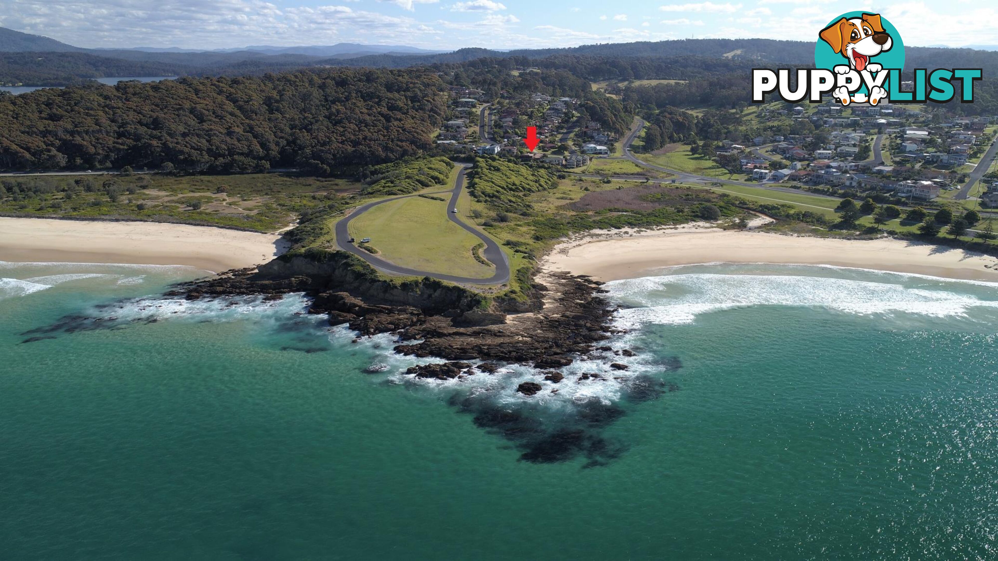 8 Warbler Crescent NORTH NAROOMA NSW 2546