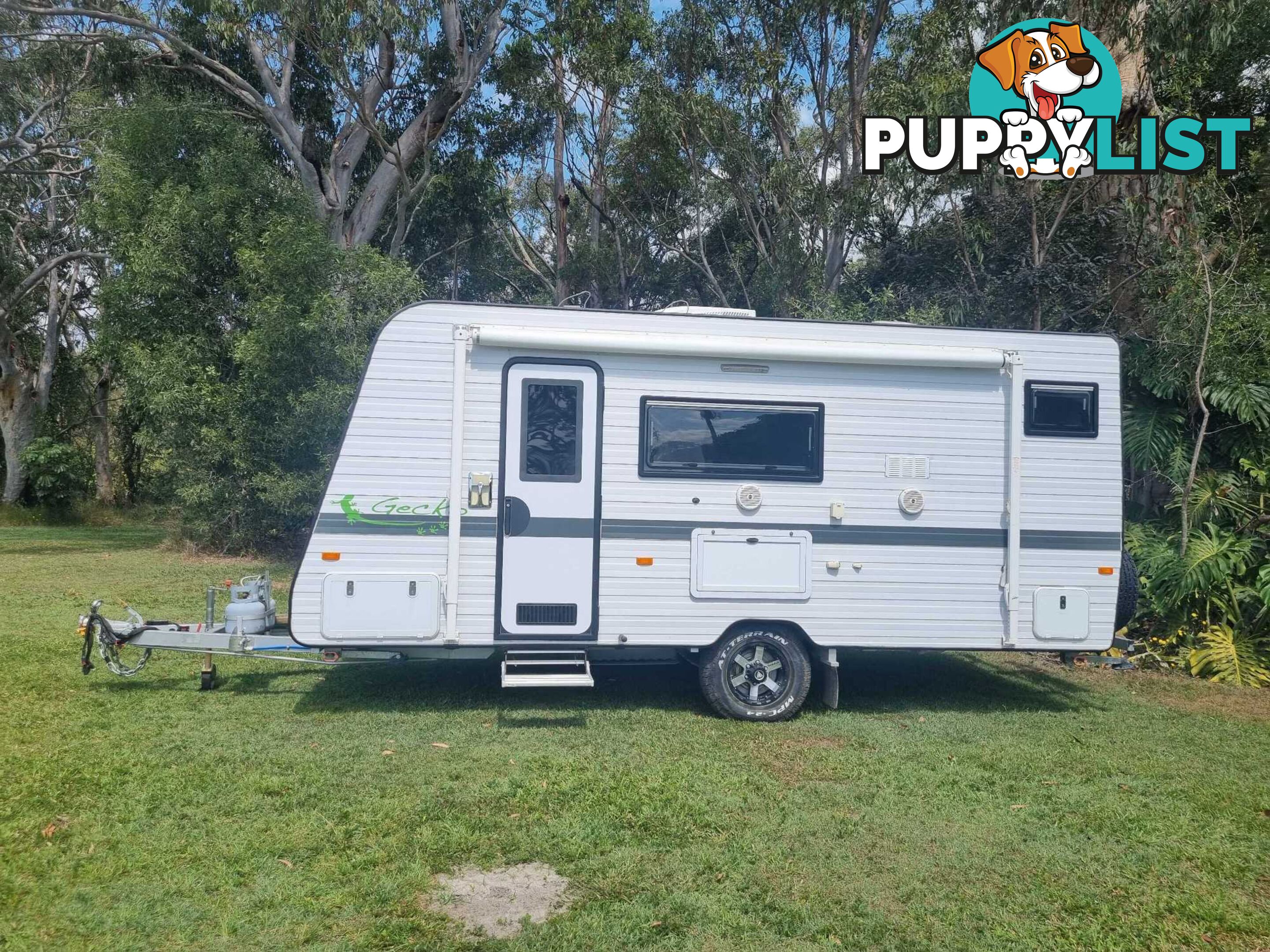 Fantastic Family Van - Triple Bunk 2020 New Age GECKO