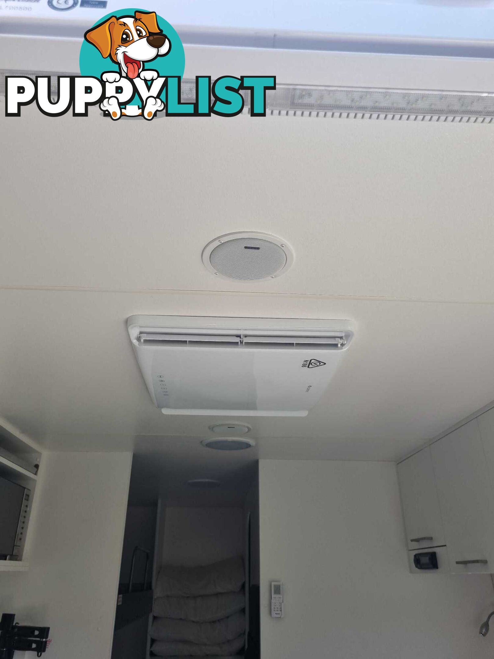 Fantastic Family Van - Triple Bunk 2020 New Age GECKO