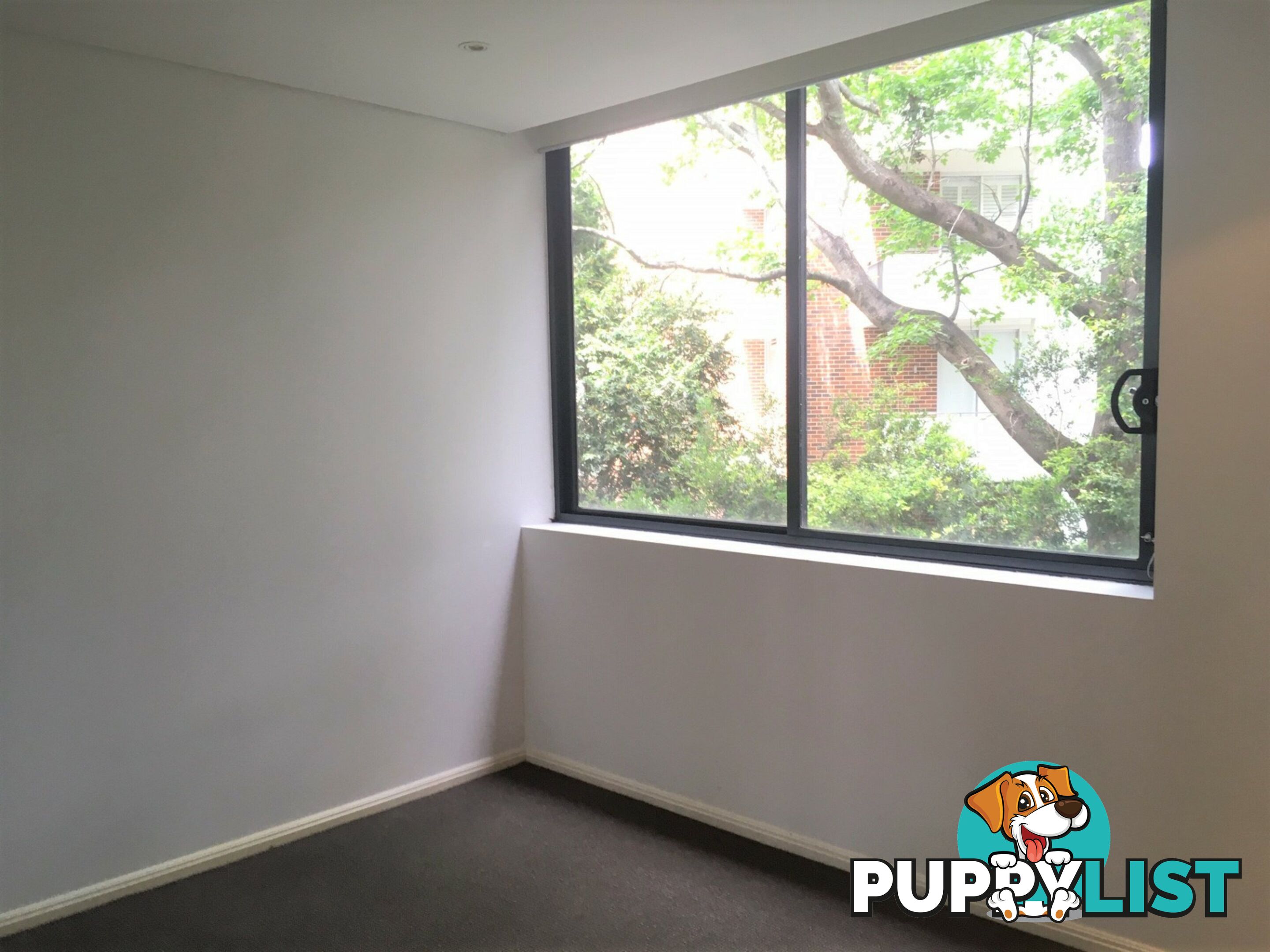 Apartment 348/17-19 Memorial Avenue ST IVES NSW 2075