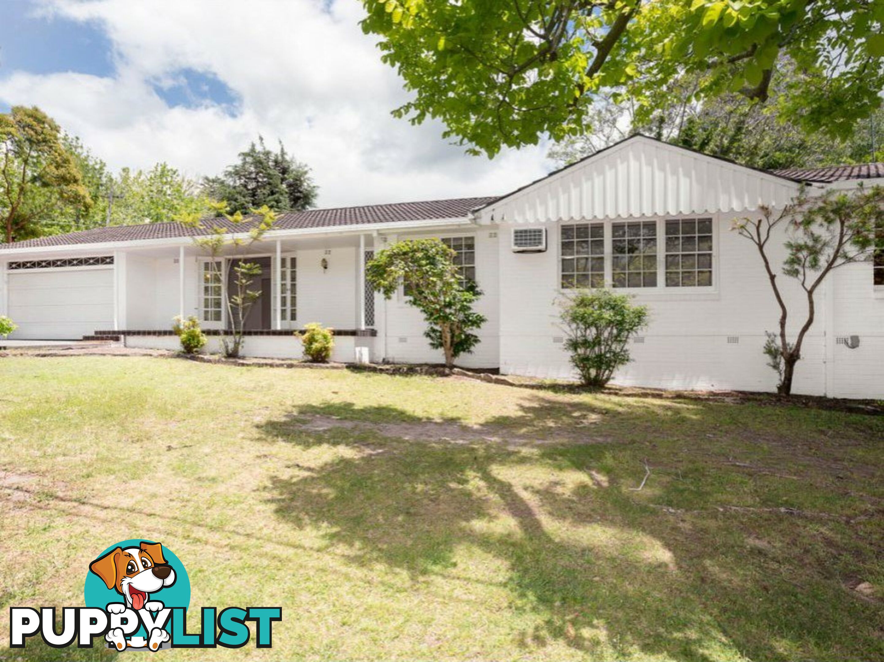 16 Aronia Avenue ST IVES NSW 2075