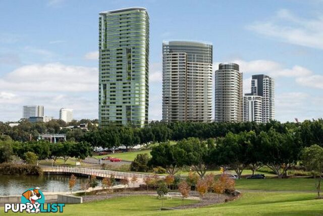 Apartment 3307/98 Bennelong Parkway OLYMPIC PARK NSW 2127