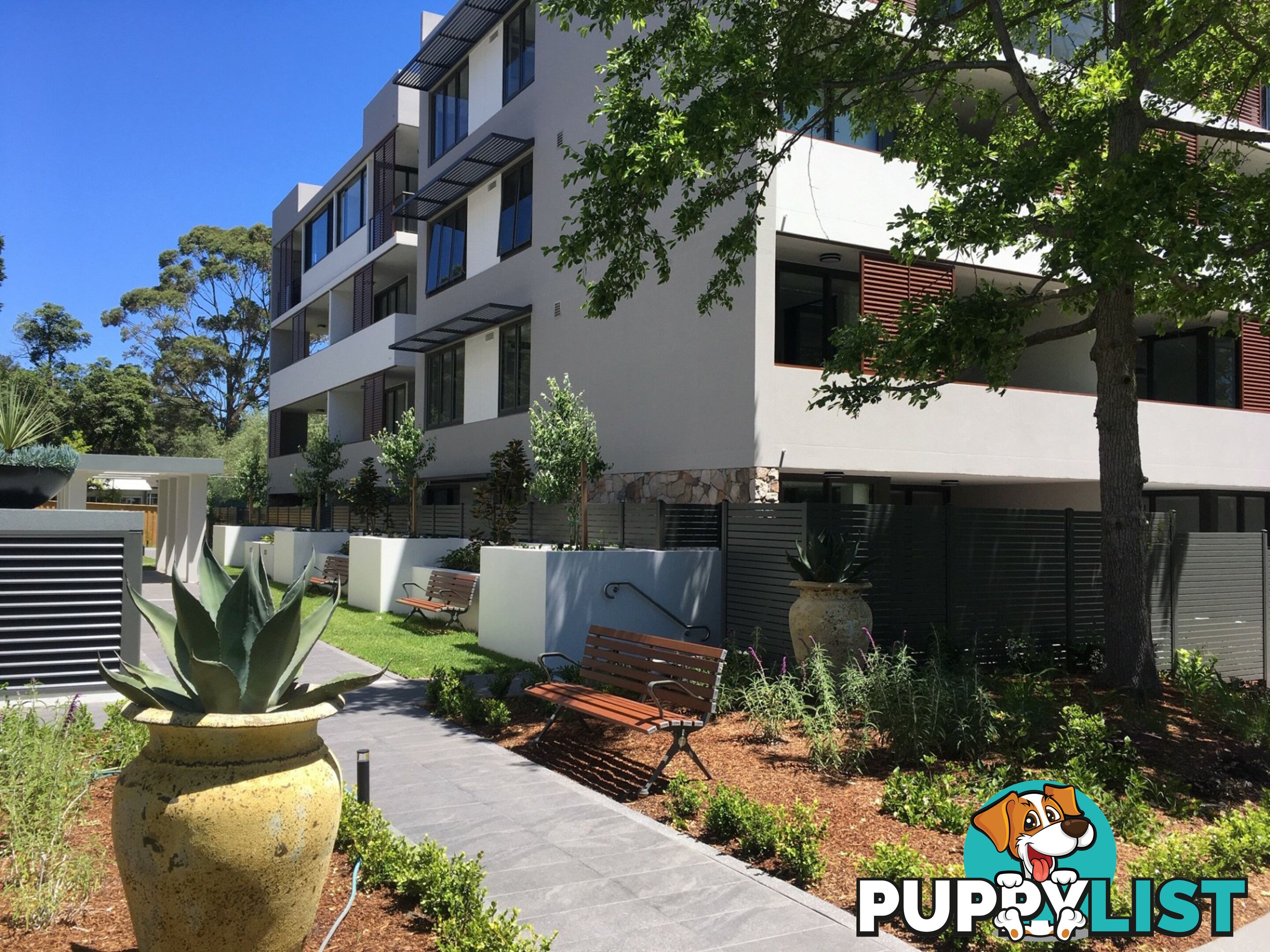 305/124-126 Killeaton Street ST IVES NSW 2075