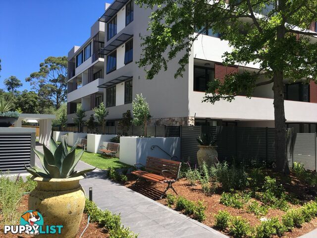 305/124-126 Killeaton Street ST IVES NSW 2075