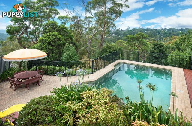 27 Walker Avenue ST IVES NSW 2075