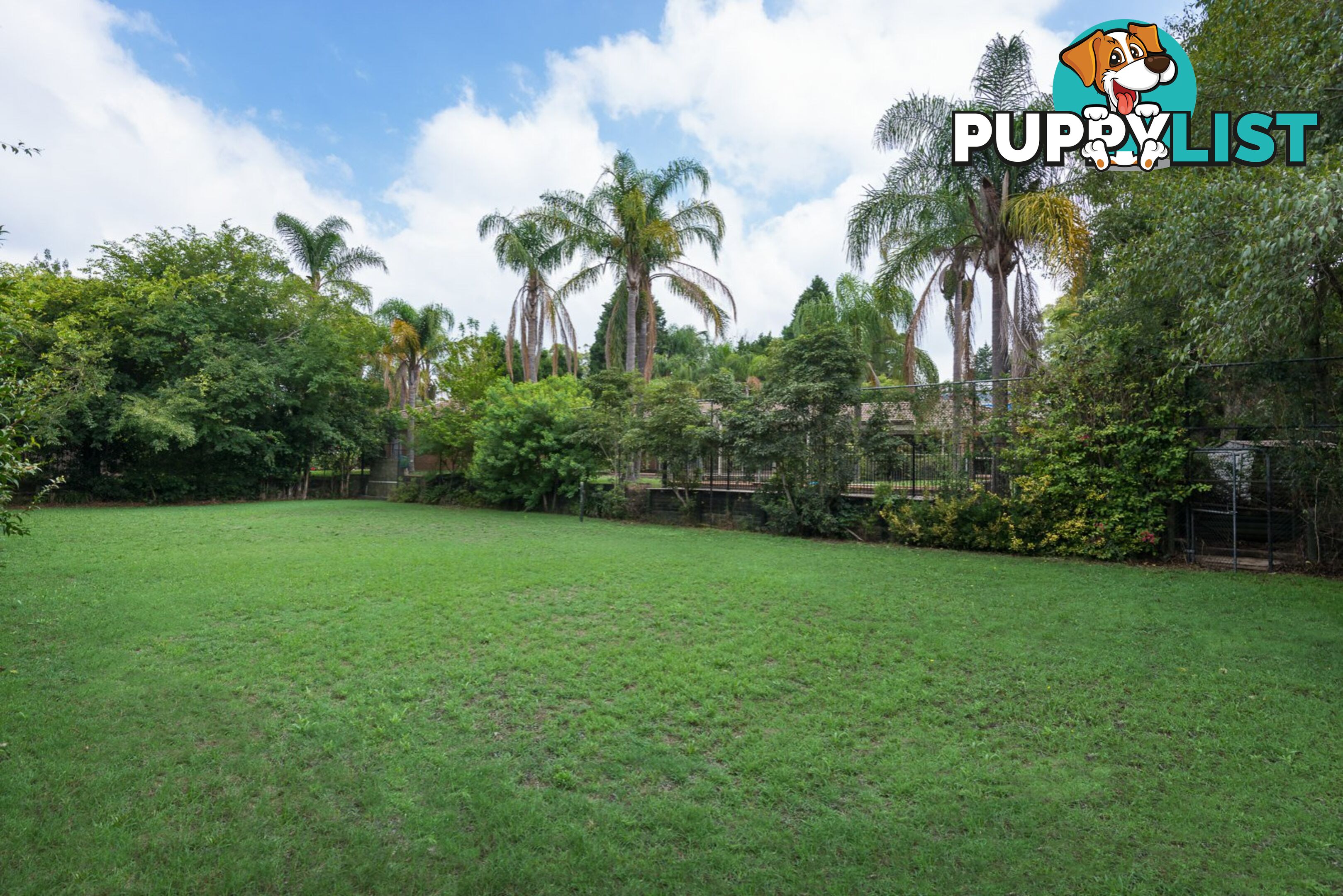 11 Kirkpatrick Street NORTH TURRAMURRA NSW 2074