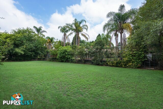 11 Kirkpatrick Street NORTH TURRAMURRA NSW 2074