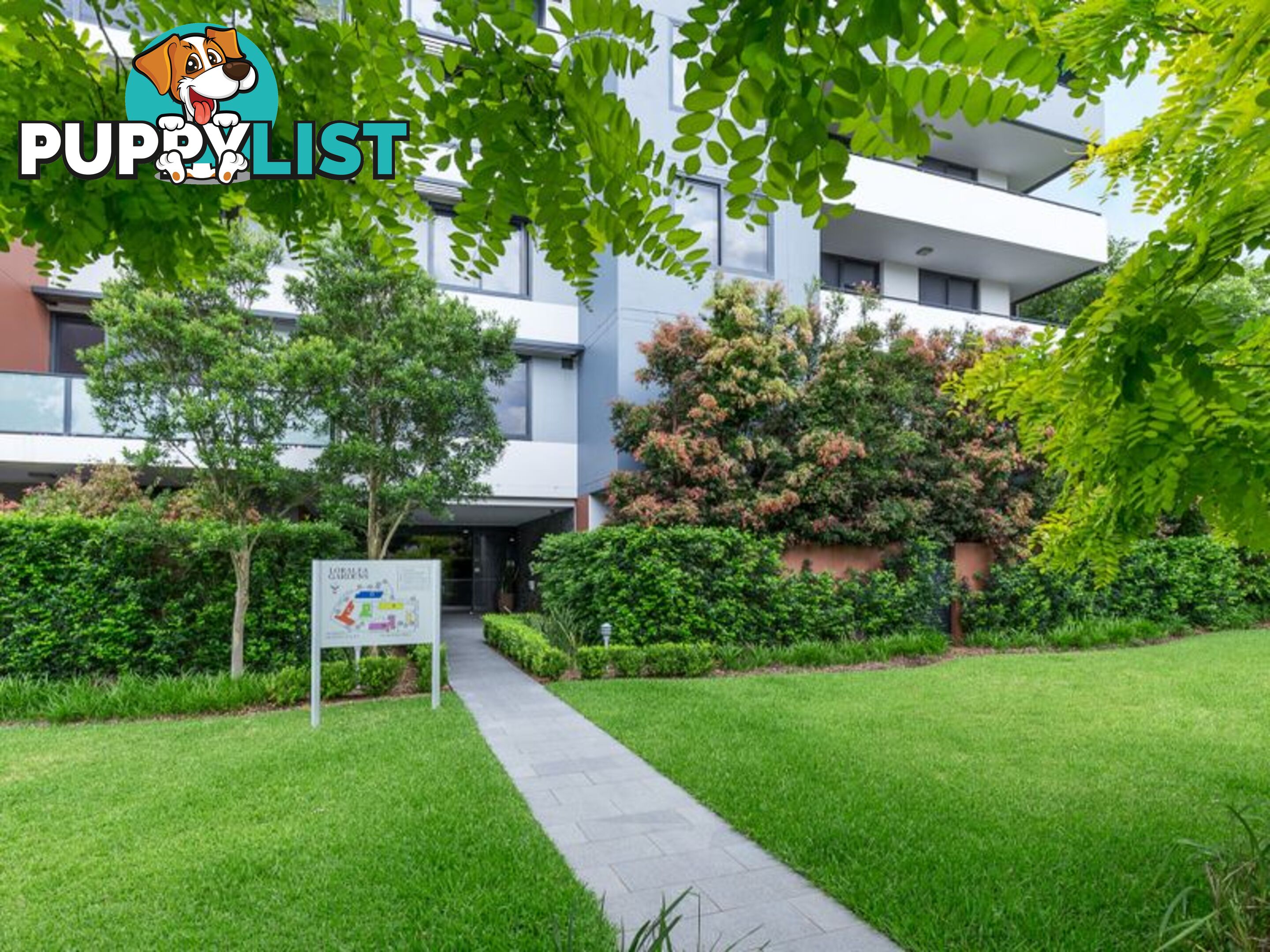 606/17-19 Memorial Avenue (Block B) ST IVES NSW 2075