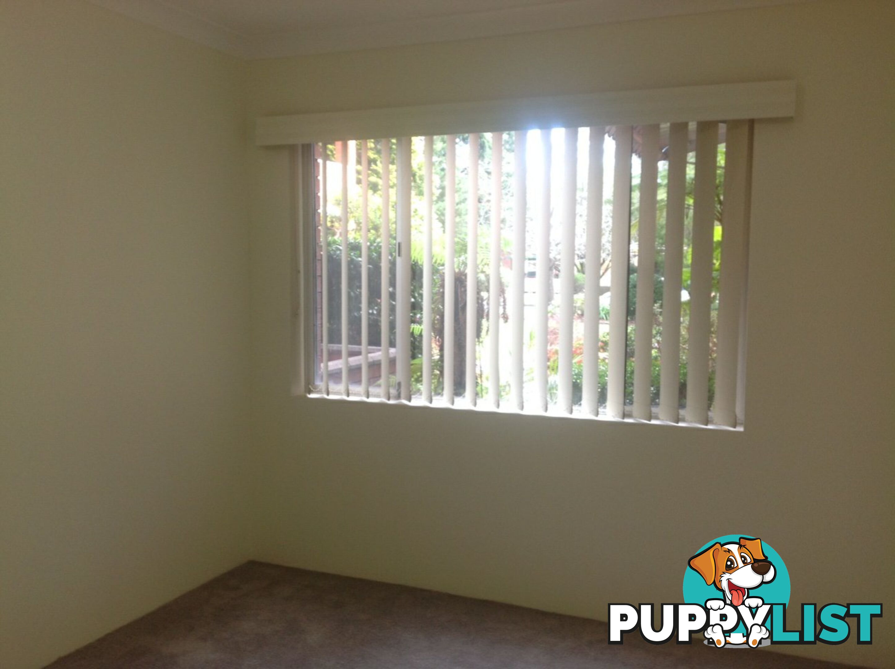 Apartment 3/147 Sydney Street WILLOUGHBY NSW 2068