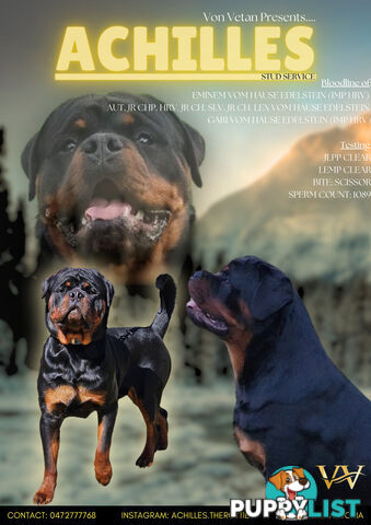 Pedigree Rottweiler Stud Service