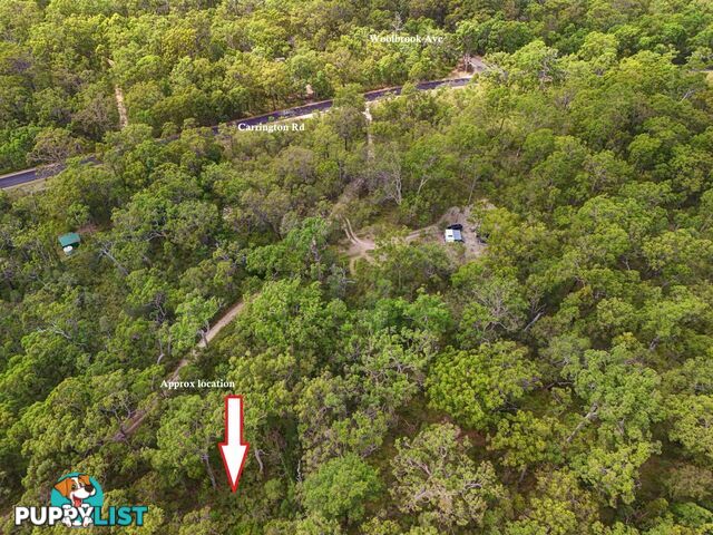 823 Tenterfield Road NORTH ARM COVE NSW 2324