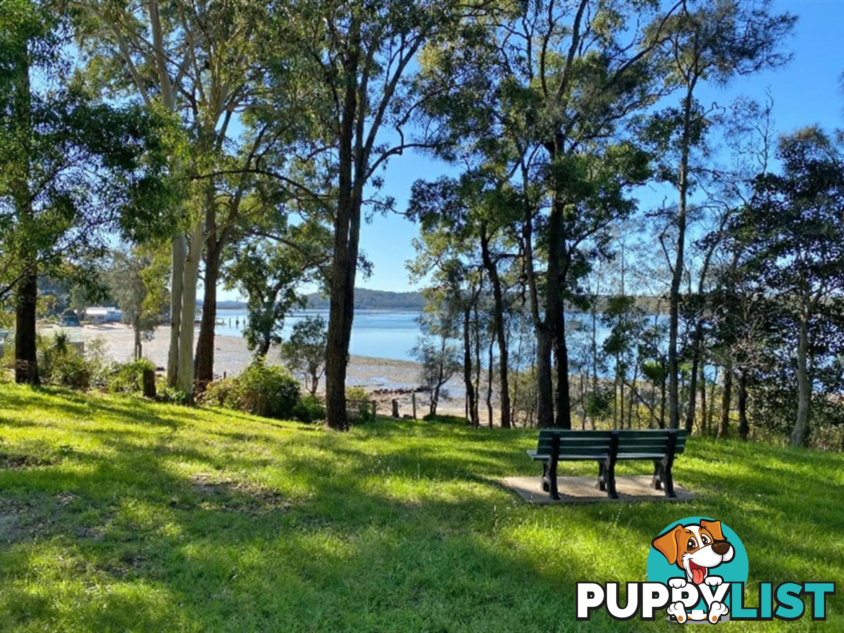 56 Outlook Drive NORTH ARM COVE NSW 2324