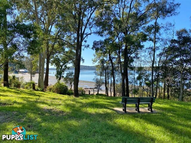 56 Outlook Drive NORTH ARM COVE NSW 2324