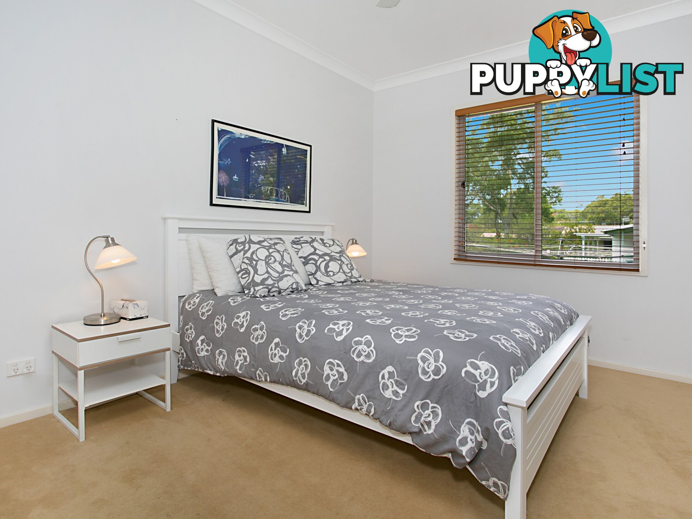 11 Russell Street HAWKS NEST NSW 2324