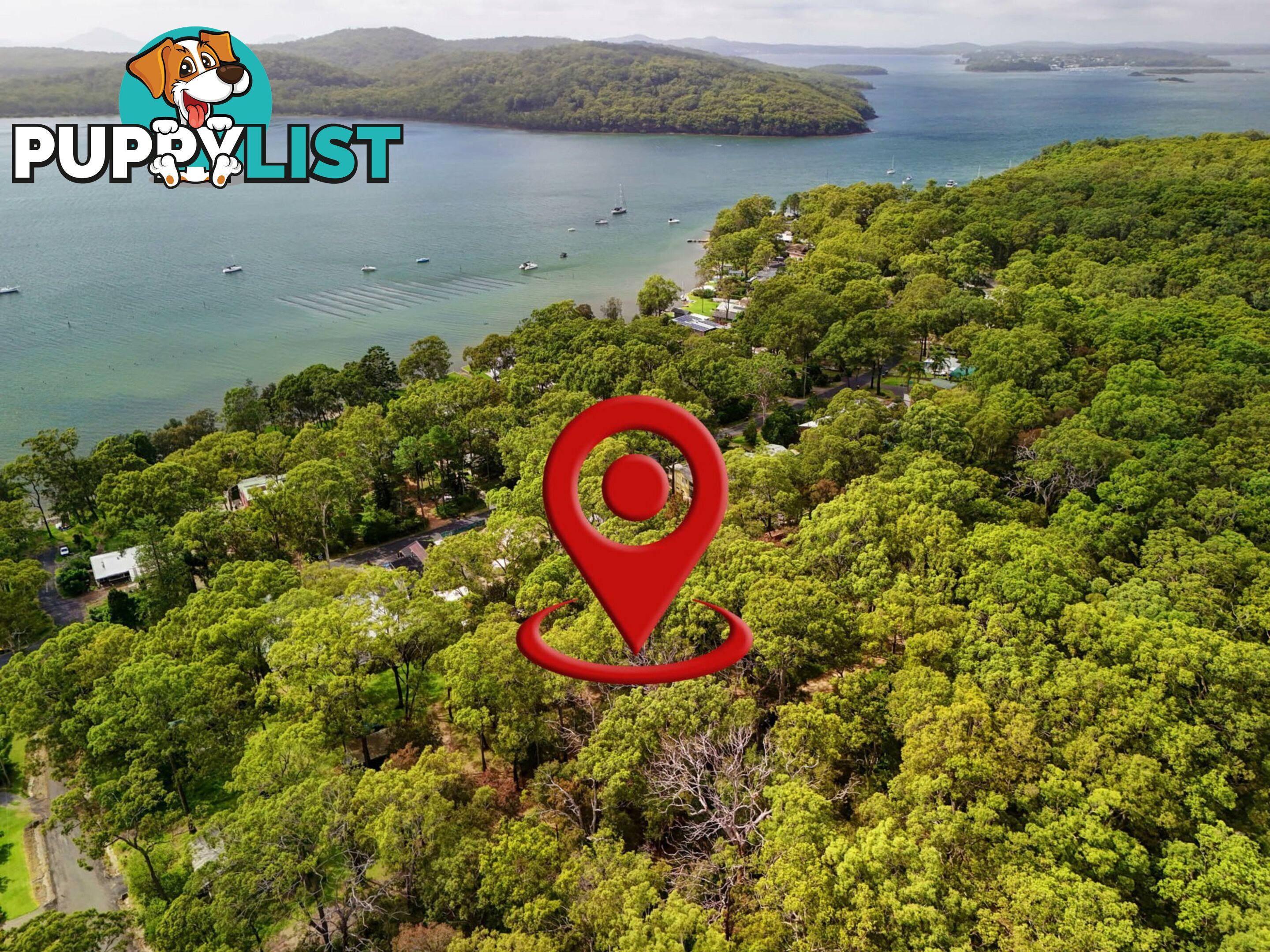 104 Eastslope Way NORTH ARM COVE NSW 2324