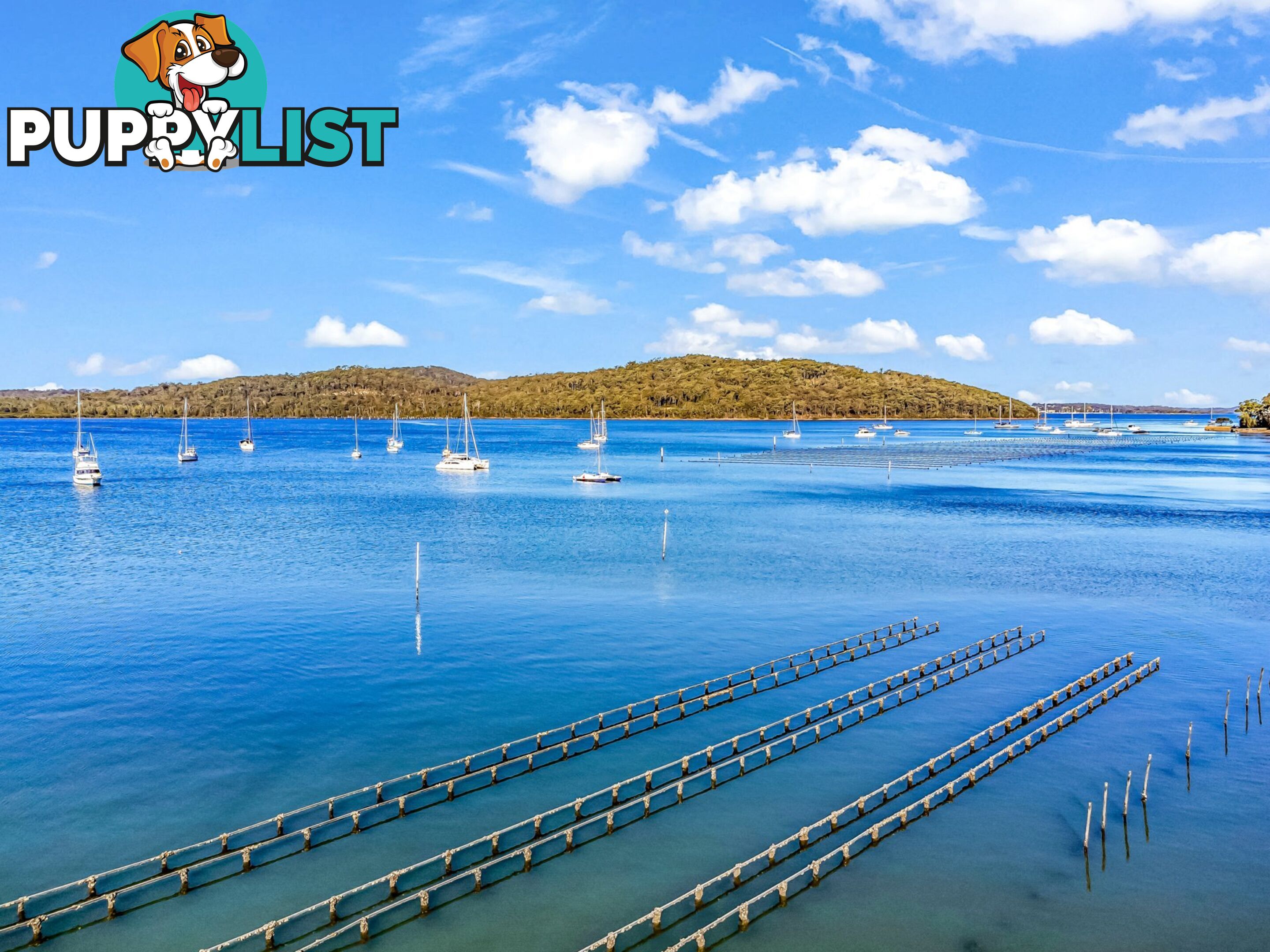 104 Eastslope Way NORTH ARM COVE NSW 2324