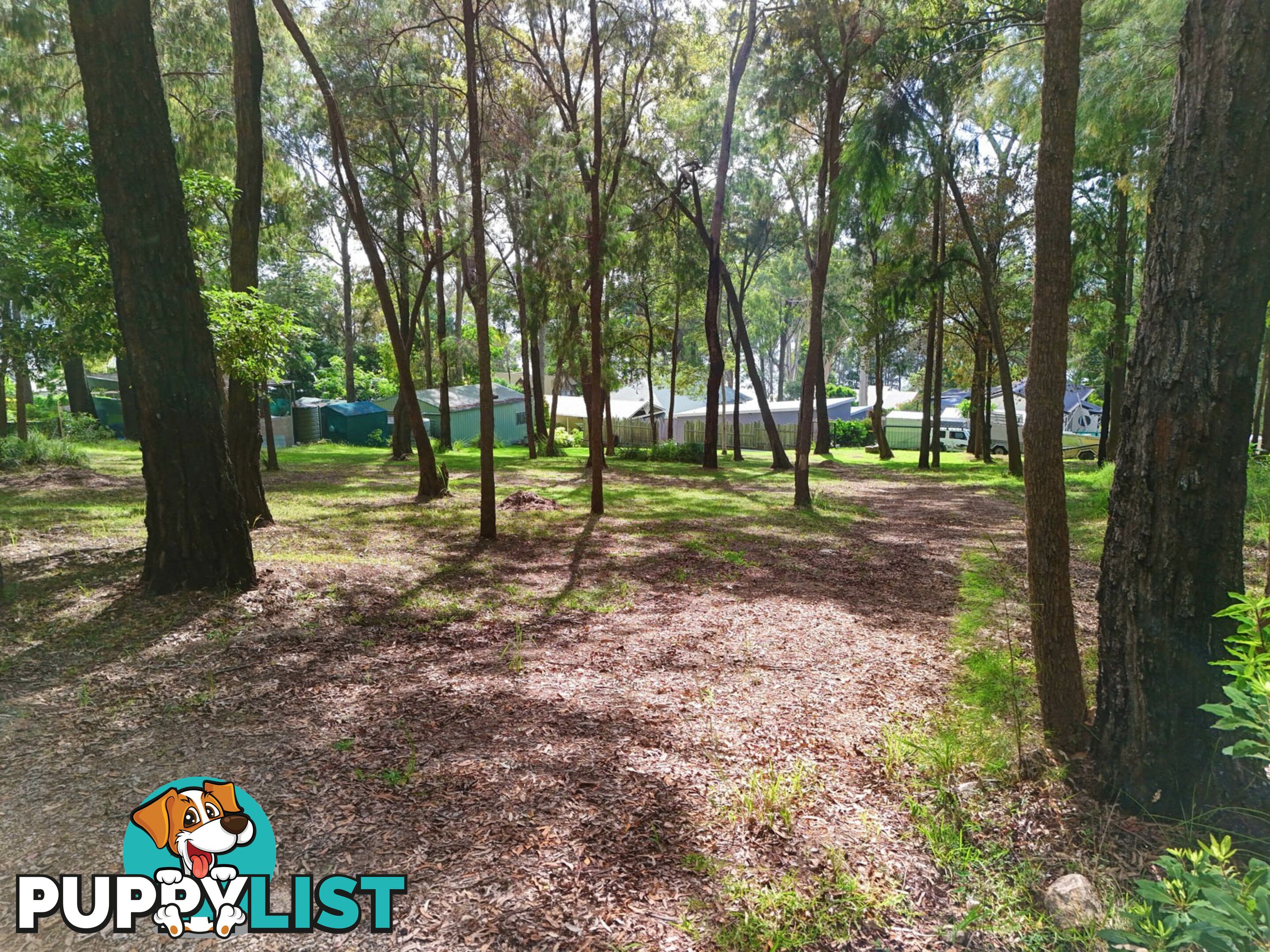 104 Eastslope Way NORTH ARM COVE NSW 2324