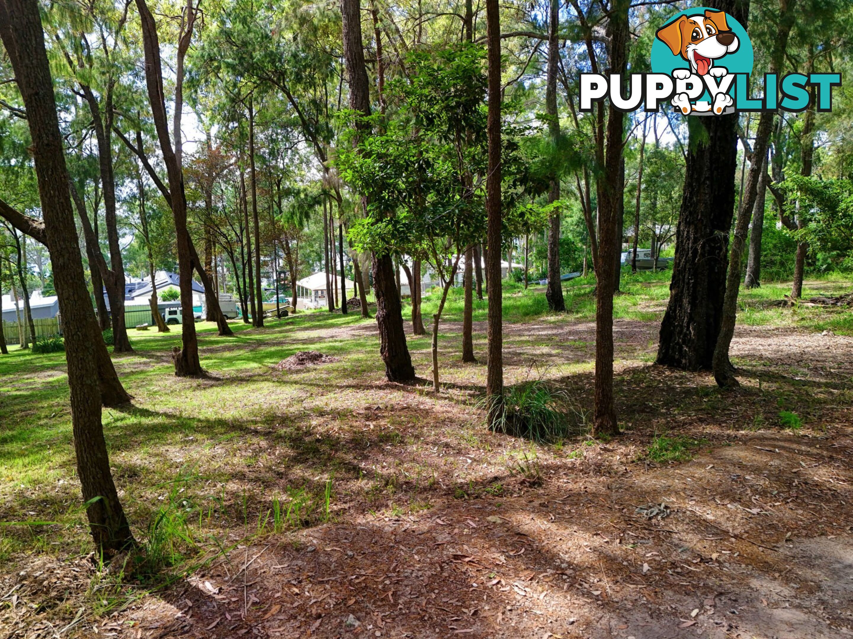 104 Eastslope Way NORTH ARM COVE NSW 2324