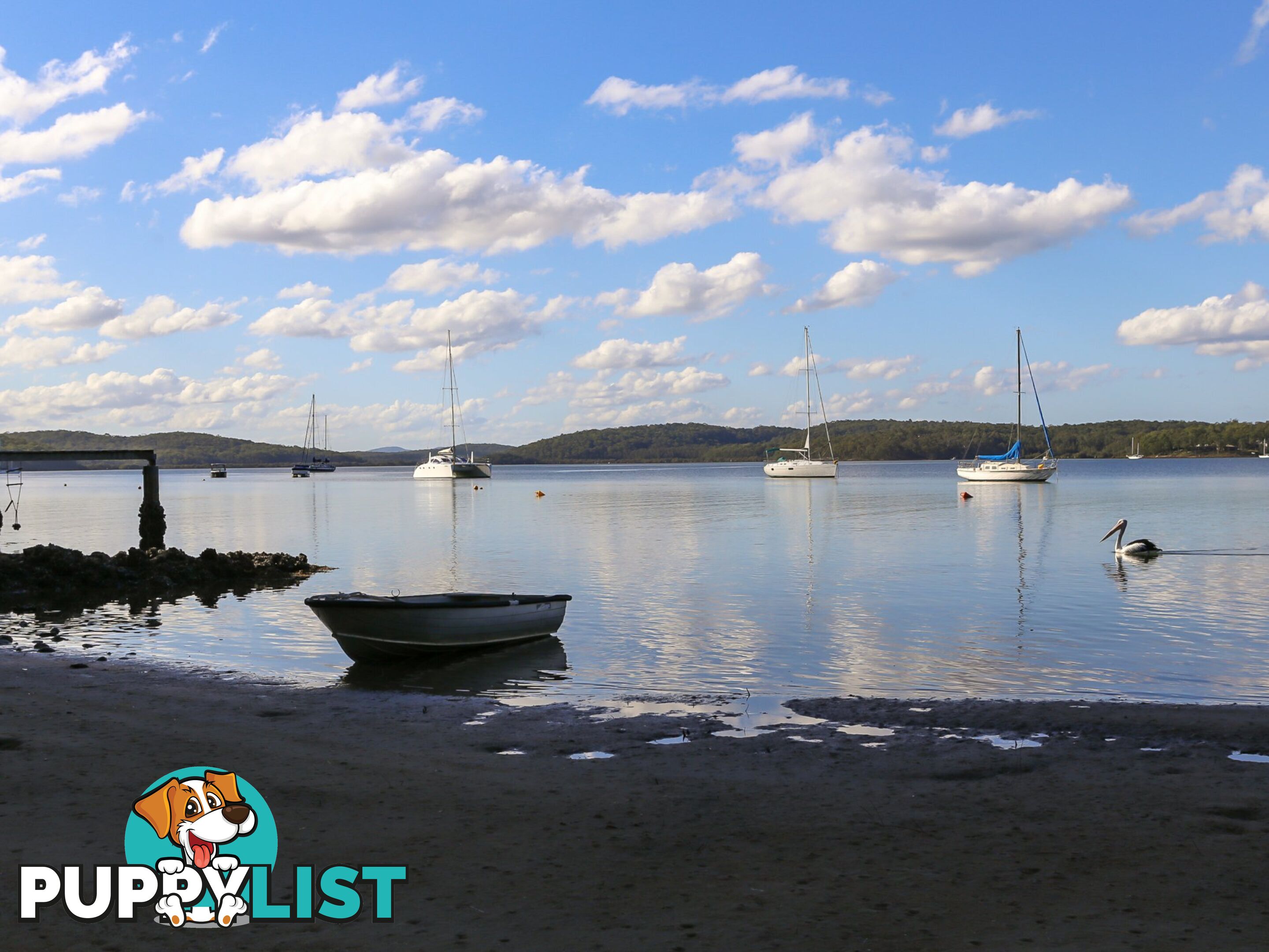 2470 Beechwood Crescent NORTH ARM COVE NSW 2324