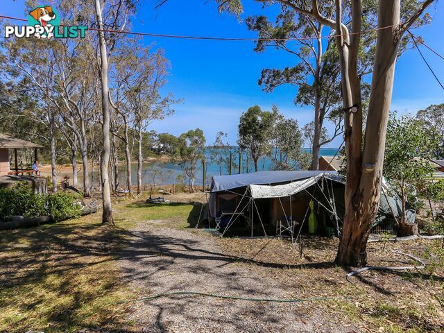 81 Promontory Way NORTH ARM COVE NSW 2324