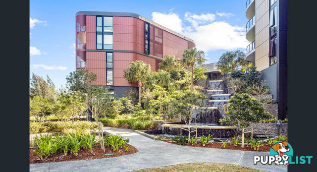 436/2 Wattlebird Road WENTWORTH POINT NSW 2127