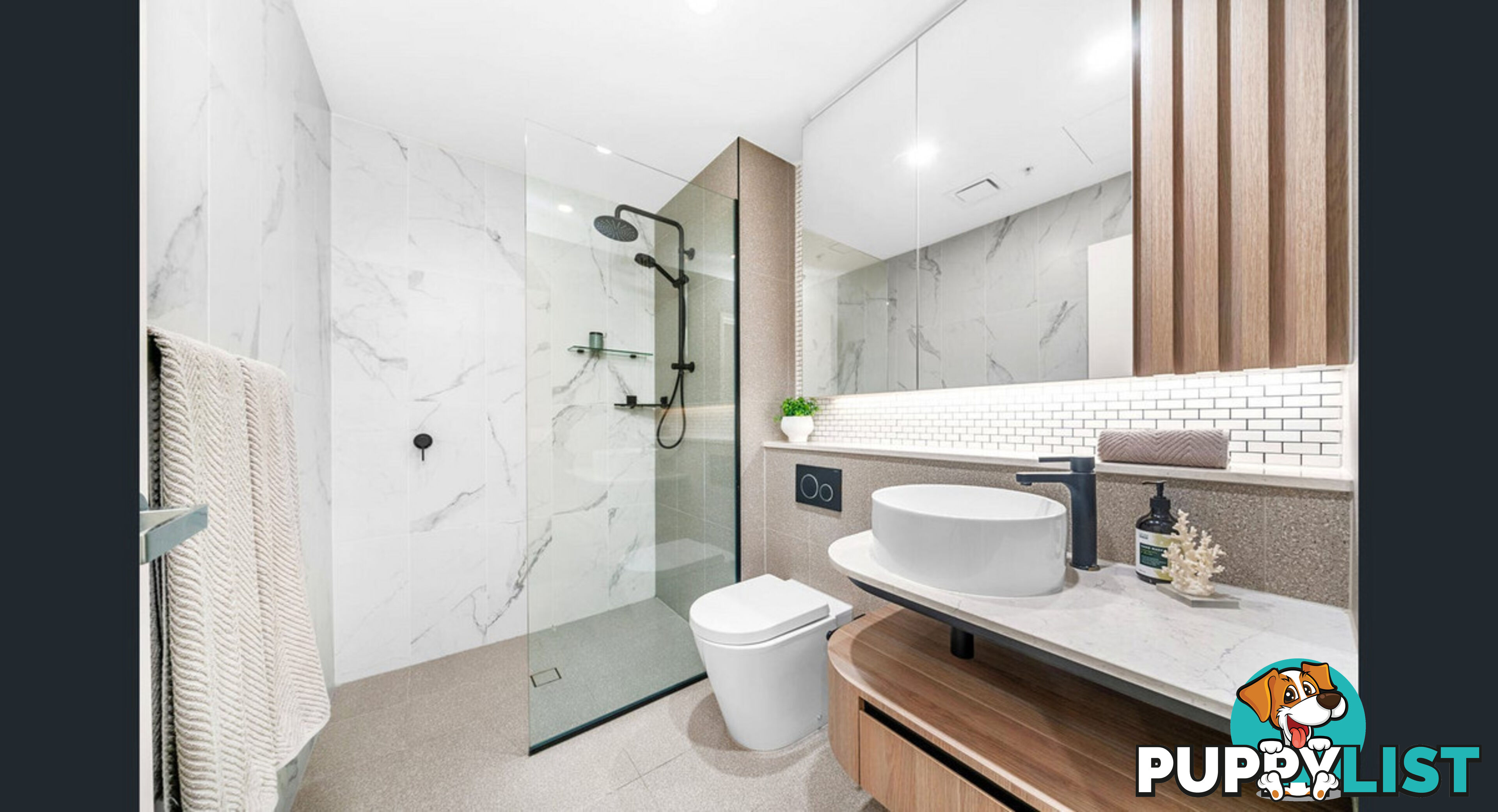 436/2 Wattlebird Road WENTWORTH POINT NSW 2127