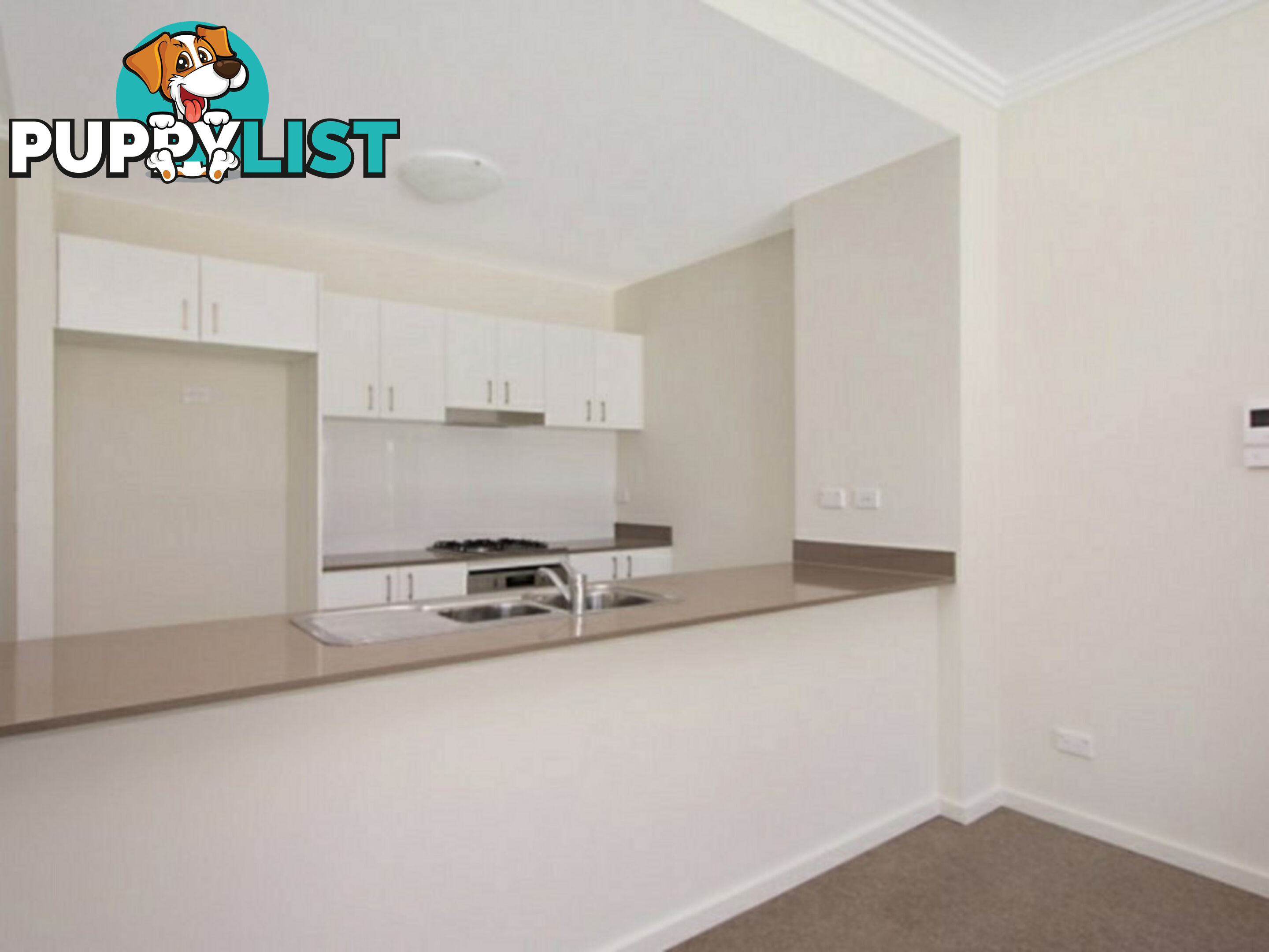 43/1-9 Florence Street SOUTH WENTWORTHVILLE NSW 2145
