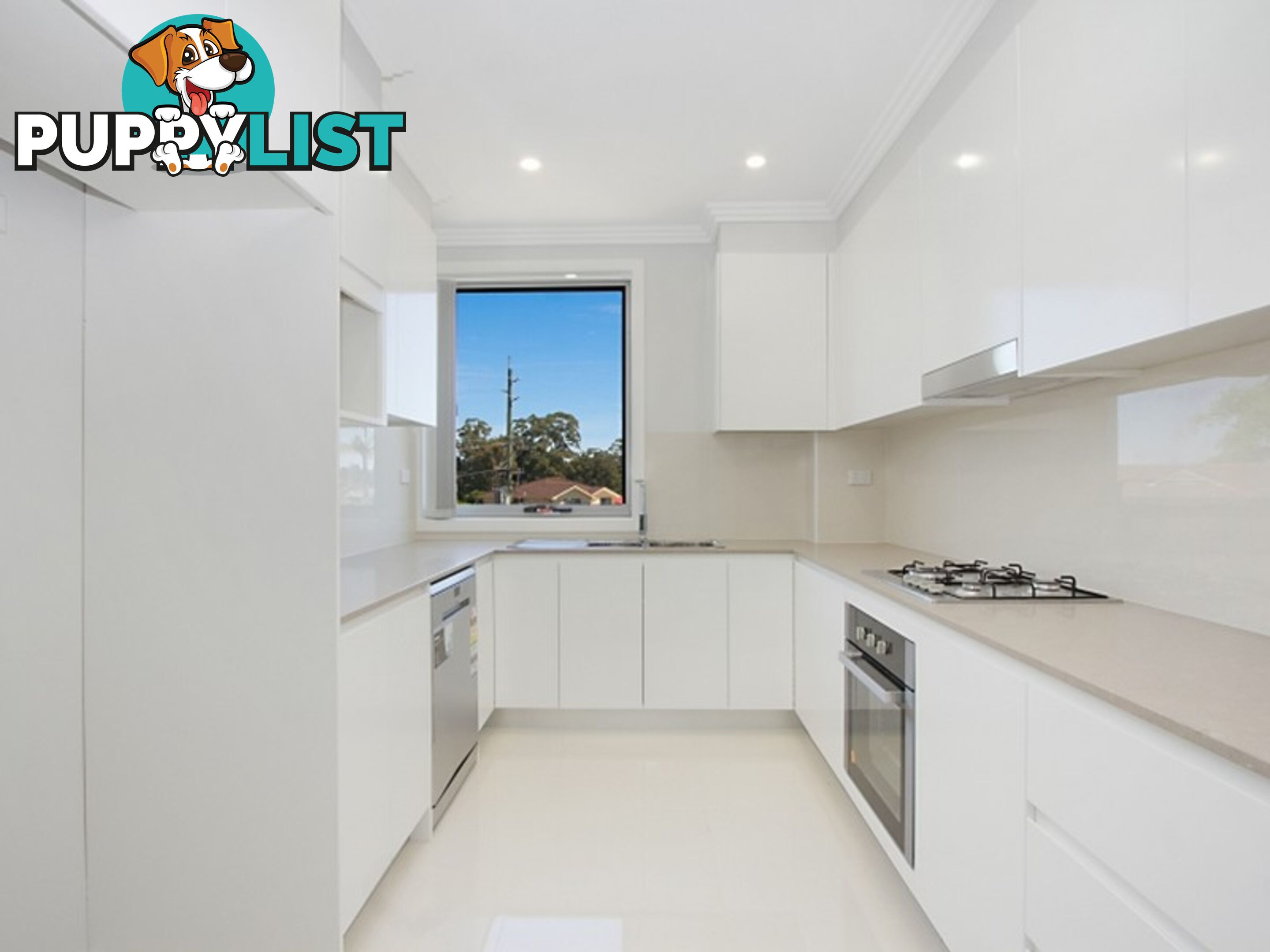 Apartment 5/58-62 Fitzwilliam Road OLD TOONGABBIE NSW 2146