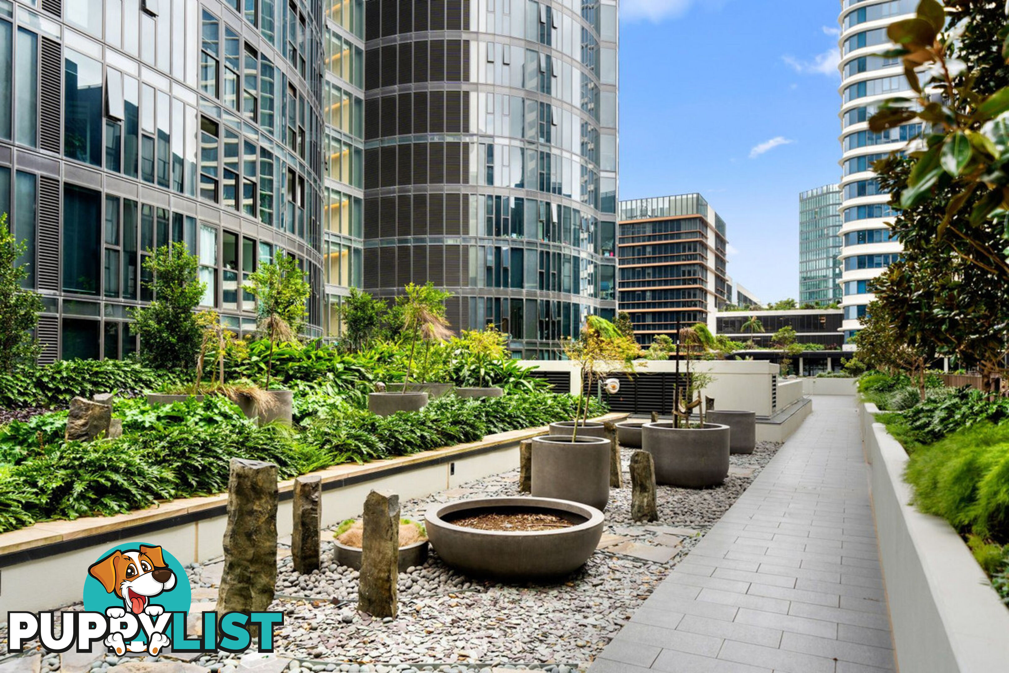 203/2 Waterways Street WENTWORTH POINT NSW 2127