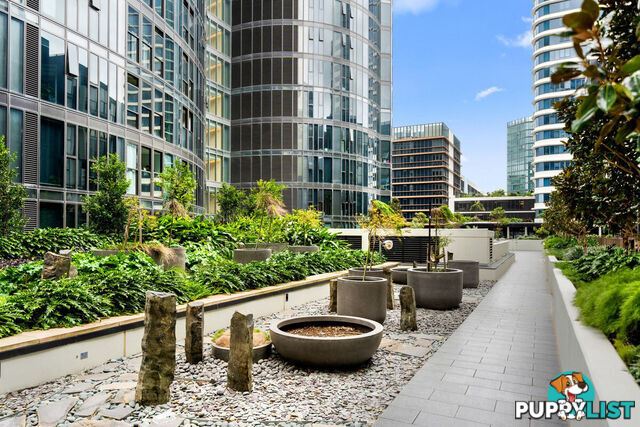 203/2 Waterways Street WENTWORTH POINT NSW 2127