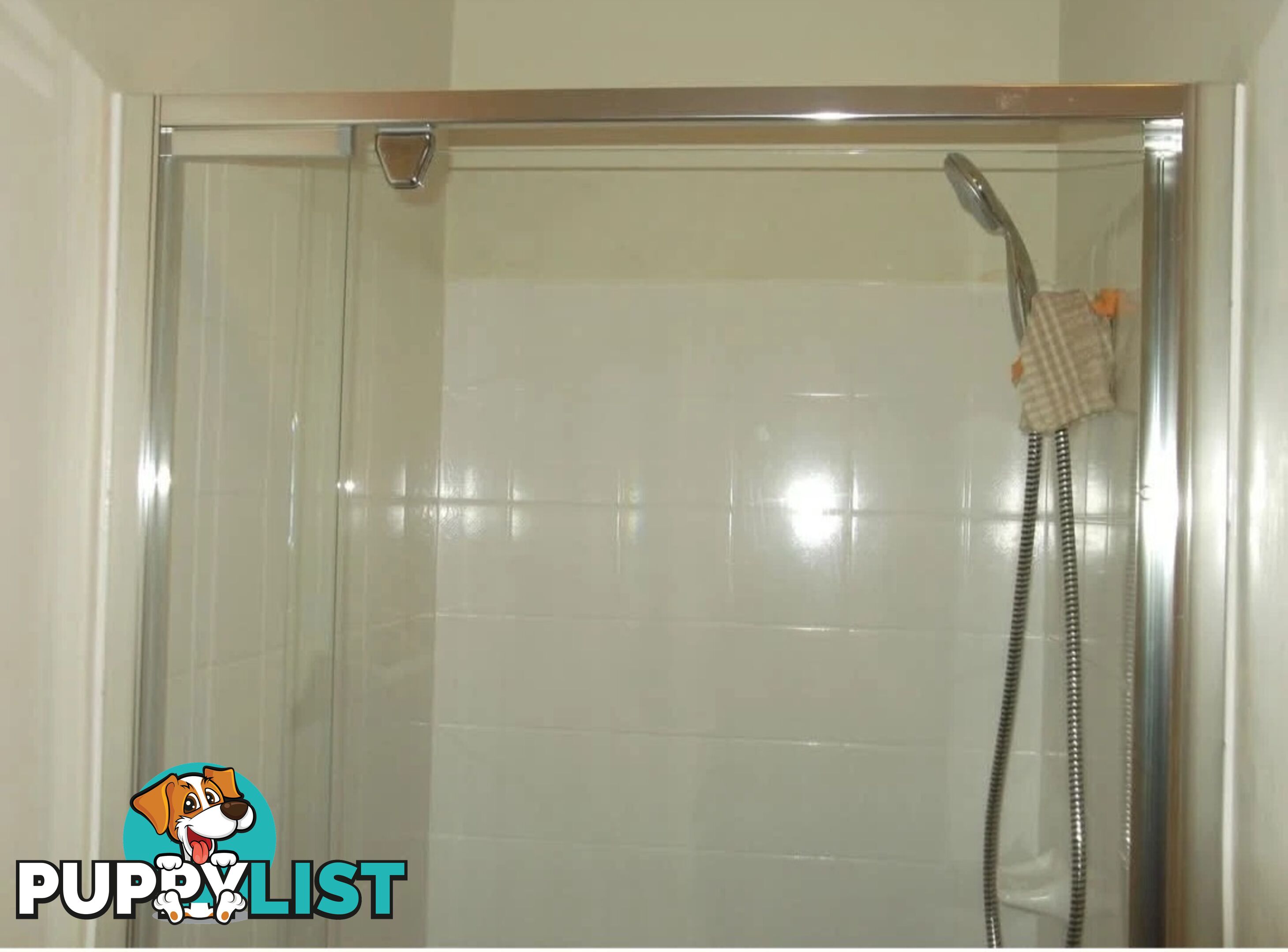 Semi-frameless Glass Shower Door
