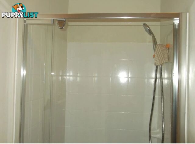 Semi-frameless Glass Shower Door