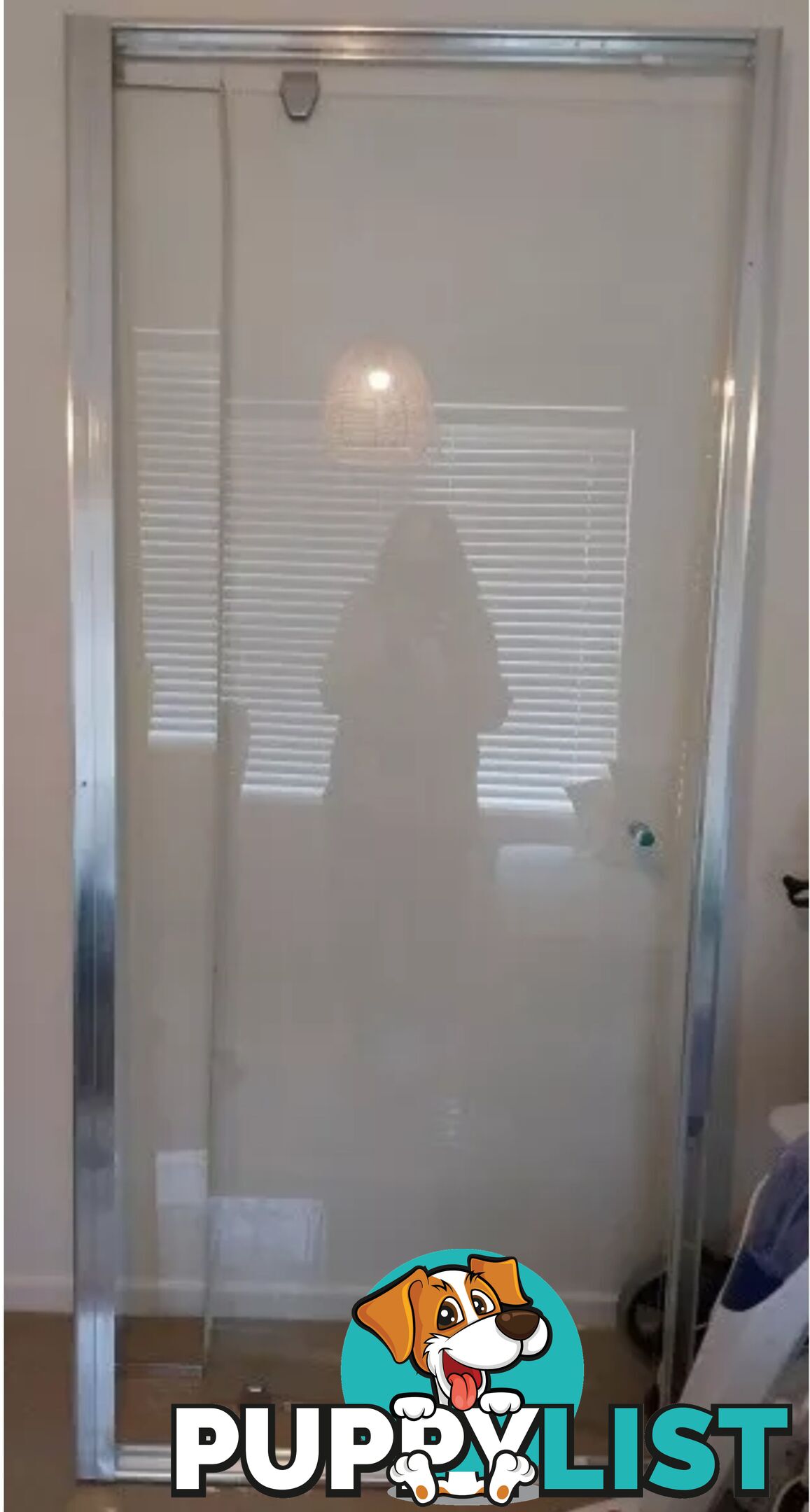 Semi-frameless Glass Shower Door
