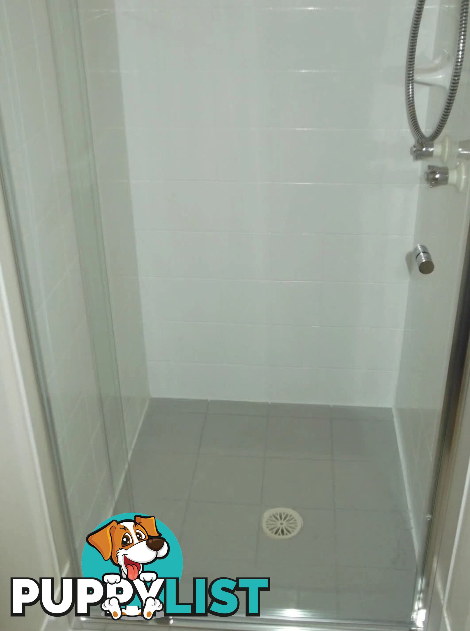 Semi-frameless Glass Shower Door
