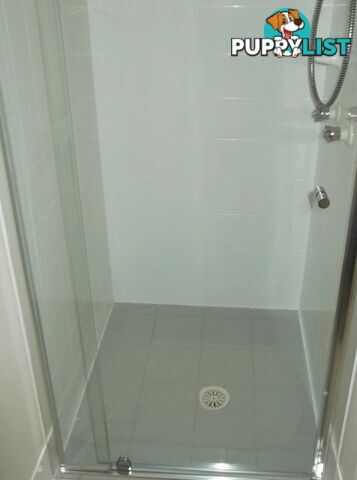 Semi-frameless Glass Shower Door