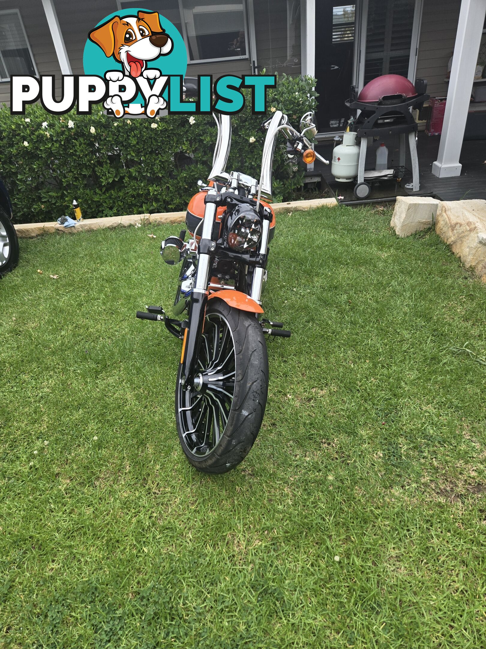 2023 Harley-Davidson Breakout 117 (FXBR)