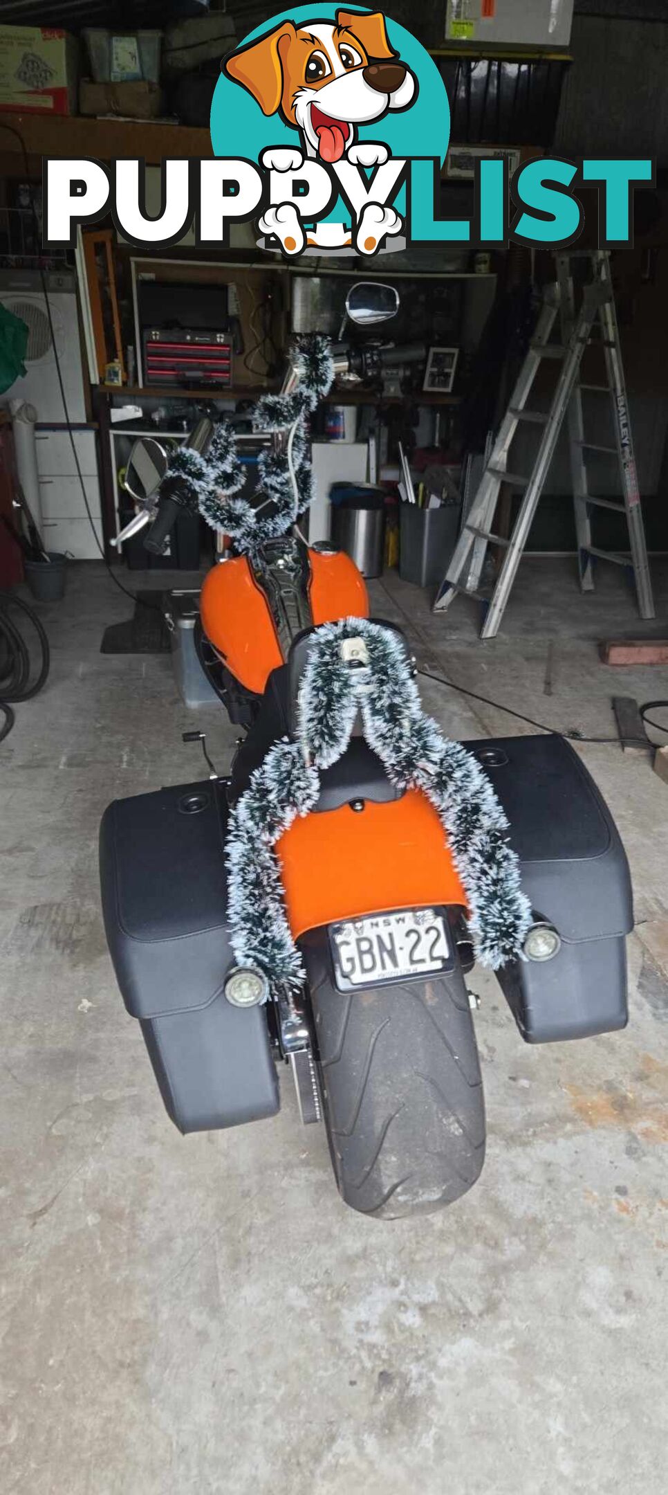 2023 Harley-Davidson Breakout 117 (FXBR)