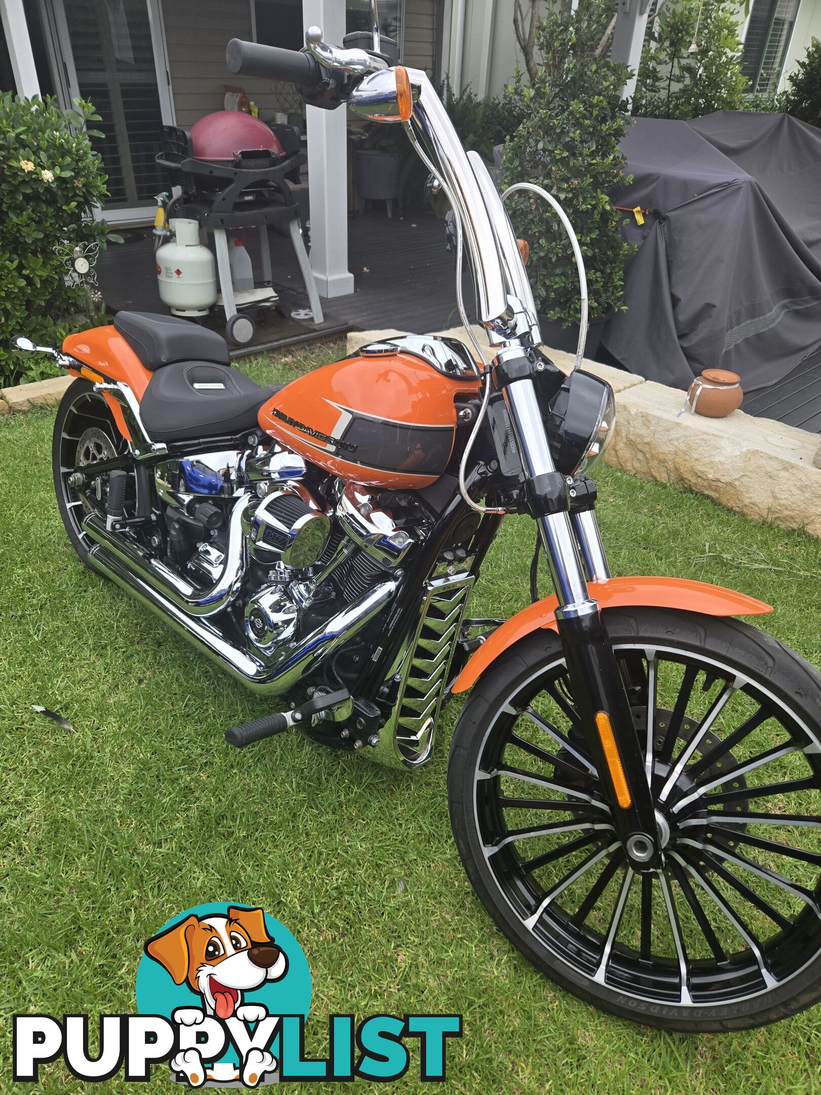 2023 Harley-Davidson Breakout 117 (FXBR)