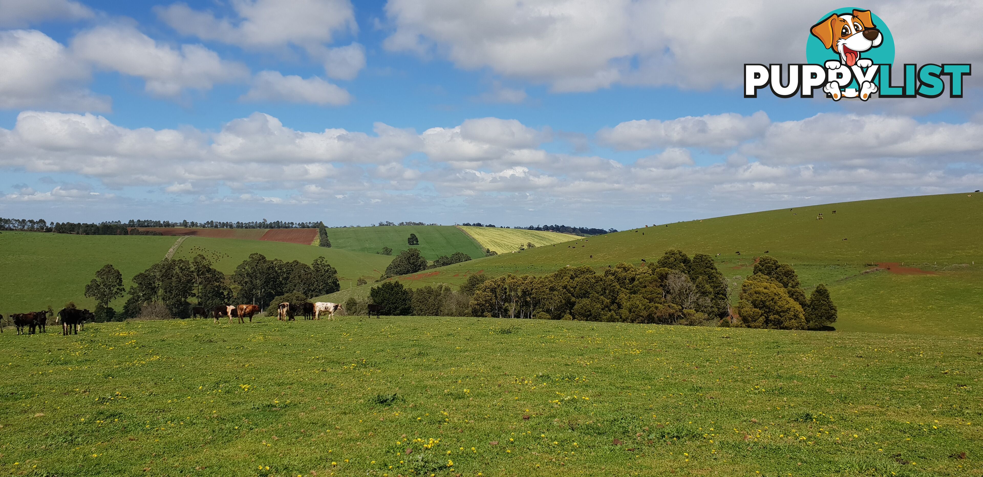 1 Main Street GEMBROOK VIC 3783