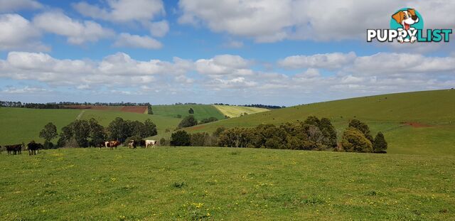 1 Main Street GEMBROOK VIC 3783