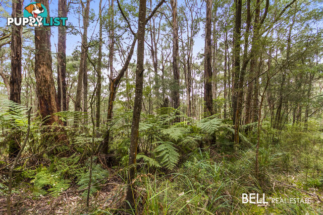 145A David Hill Road MONBULK VIC 3793